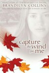 Book cover for Capture the Wind for Me