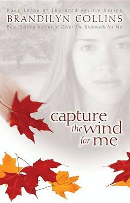 Cover of Capture the Wind for Me
