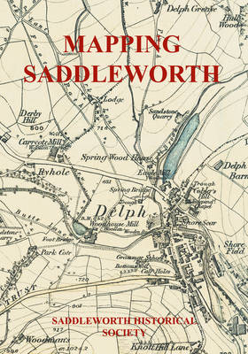 Book cover for Mapping Saddleworth