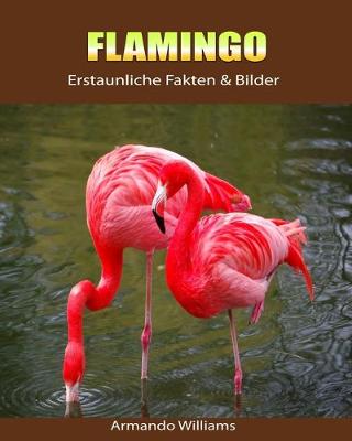 Book cover for Flamingo