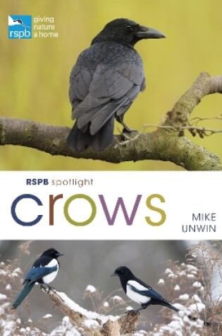 Cover of RSPB Spotlight Crows