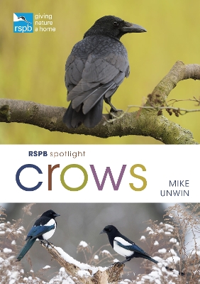 Book cover for RSPB Spotlight Crows