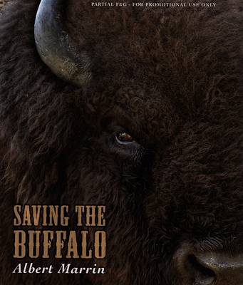 Book cover for Saving the Buffalo