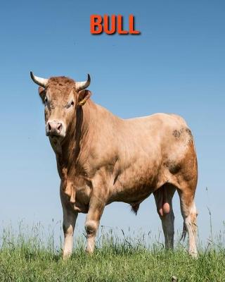 Book cover for Bull