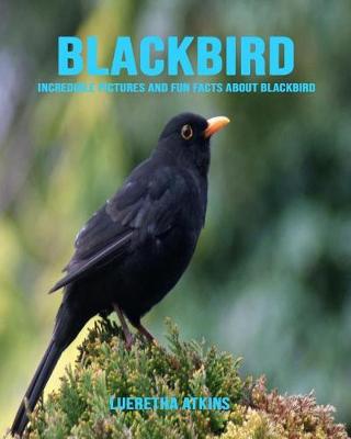 Book cover for Blackbird