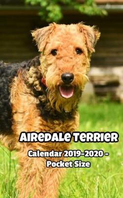 Book cover for Airedale Terrier Calendar 2019-2020 - Pocket Size