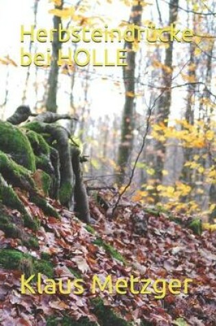 Cover of Herbsteindrücke bei HOLLE