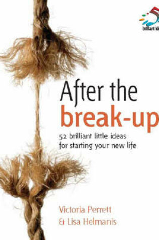 Cover of After the Break-up