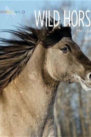 Cover of Living Wild: Wild Horses