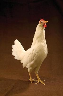 Cover of Farm Journal White Leghorn Chicken Standing