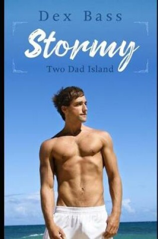 Cover of Stormy