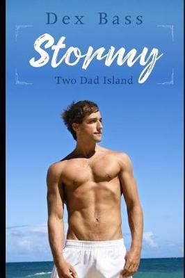 Cover of Stormy