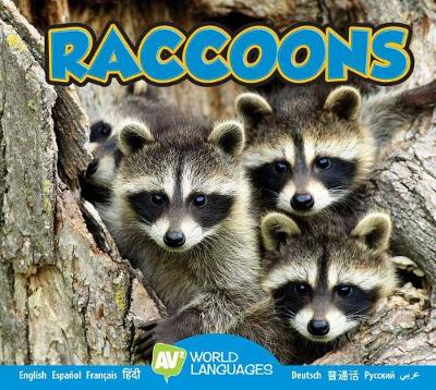 Book cover for Raccoons