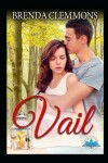 Book cover for Vail Series