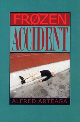 Cover of Frozen Accident