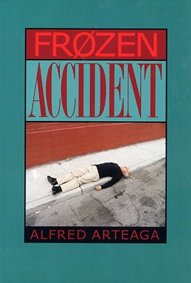 Book cover for Frozen Accident