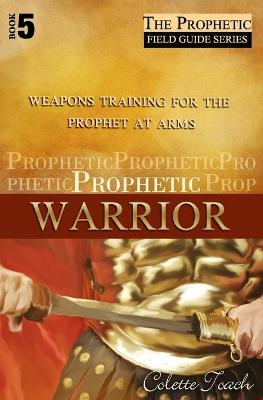 Book cover for Prophetic Warrior