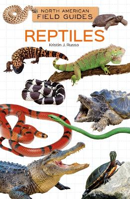 Book cover for Reptiles