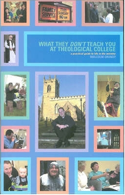 Book cover for What They Don't Teach You at Theological College