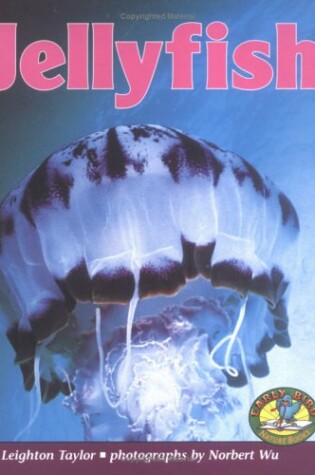 Cover of Jellyfish