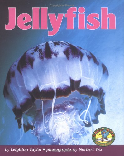 Book cover for Jellyfish