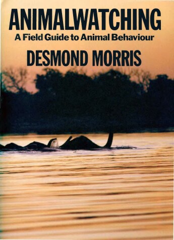 Book cover for Animal Watching