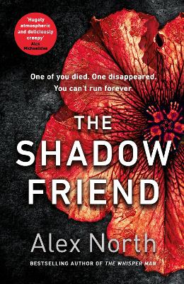 Book cover for The Shadow Friend