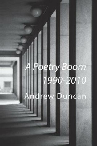 Cover of A Poetry Boom 1990-2010