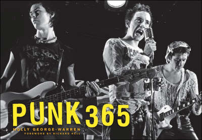 Book cover for Punk 365