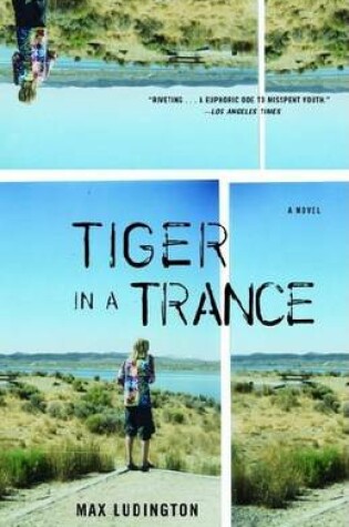 Cover of Tiger in a Trance: A Novel
