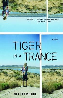 Book cover for Tiger in a Trance: A Novel