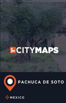 Book cover for City Maps Pachuca de Soto Mexico