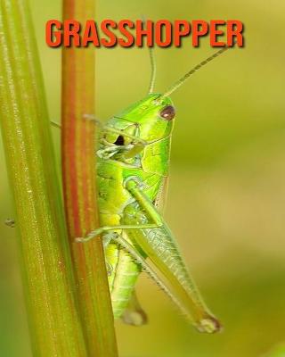 Book cover for Grasshopper