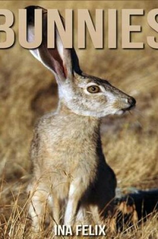 Cover of Bunnies