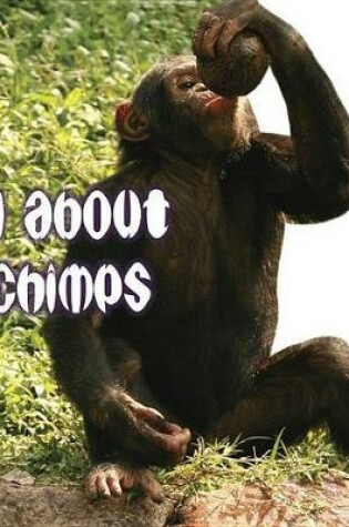 Cover of All about Chimps