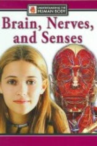 Cover of Brain, Nerves, and Senses