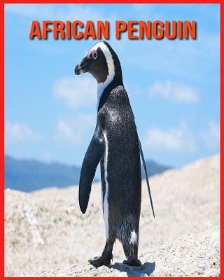 Book cover for African Penguin