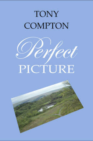 Cover of Perfect Picture