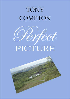 Book cover for Perfect Picture