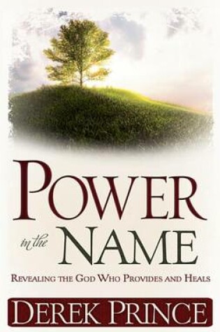 Cover of Power in the Name