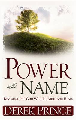 Book cover for Power in the Name