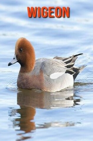Cover of Wigeon