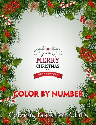 Book cover for Merry Christmas And Happy New Year Color By Number Coloring Book For Adults
