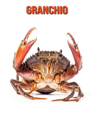 Book cover for Granchio