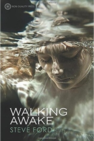 Cover of Walking Awake