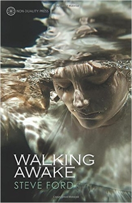 Book cover for Walking Awake