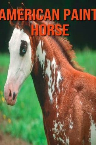 Cover of American Paint Horse