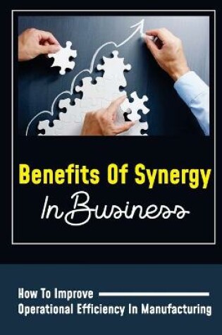 Cover of Benefits Of Synergy In Business