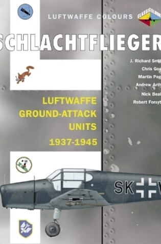 Cover of Schlachtflieger