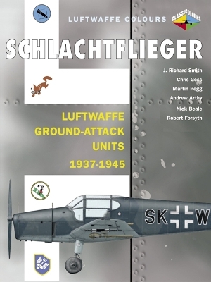 Cover of Schlachtflieger